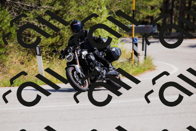 202509061350-_04A6556_c3