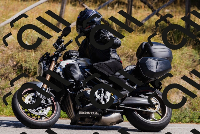 202509061350-_04A6558_c3