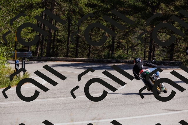 202509061357-_04A6576_c3