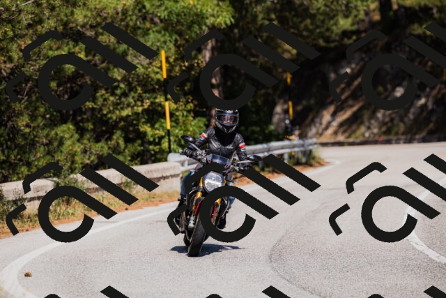 202509061357-_04A6586_c3