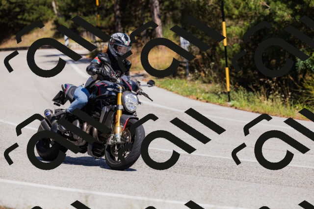 202509061357-_04A6589_c3