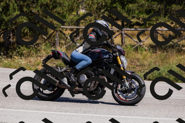 202509061357-_04A6591_c3