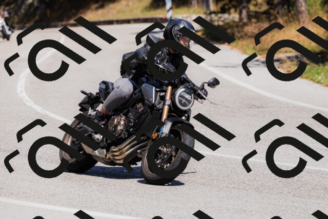 202509061357-_04A6595_c3