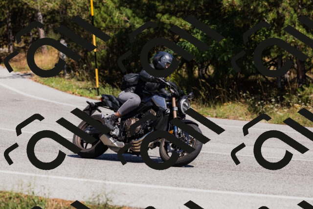 202509061357-_04A6596_c3