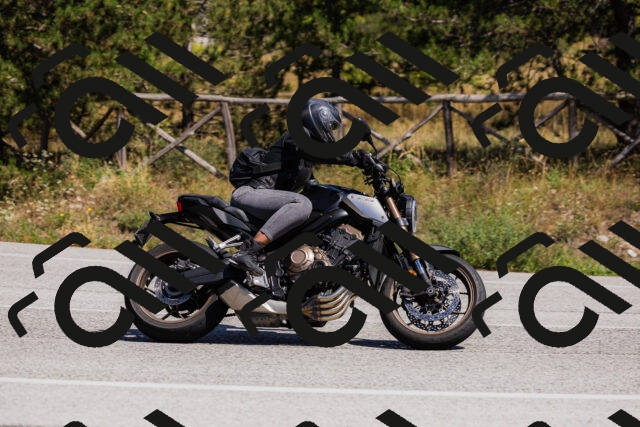 202509061357-_04A6597_c3