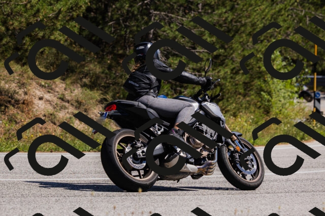 202509061357-_04A6599_c3