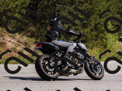 202509061357-_04A6599_c3