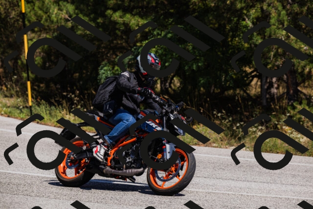 202509061357-_04A6609_c3