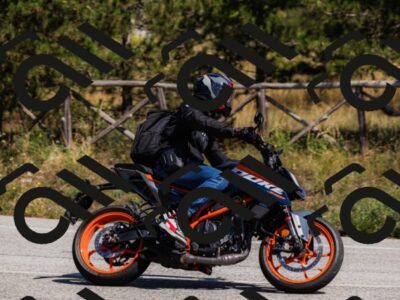 202509061357-_04A6610_c3