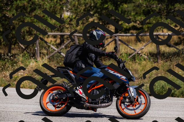 202509061357-_04A6610_c3