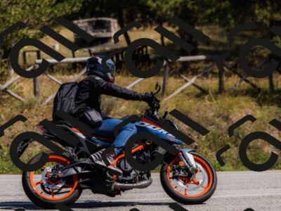 202509061357-_04A6611_c3