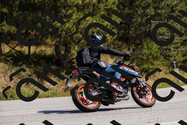 202509061357-_04A6612_c3