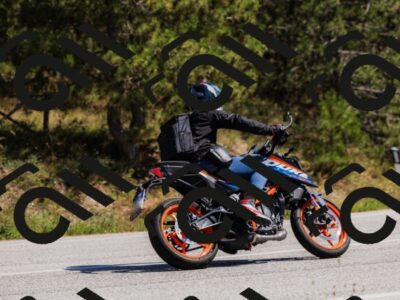 202509061357-_04A6612_c3