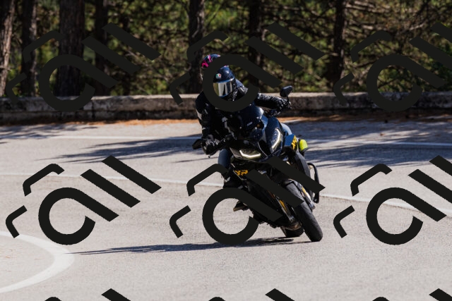 202509061358-_04A6613_c3