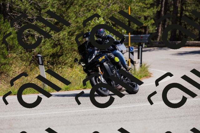 202509061358-_04A6615_c3