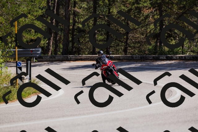 202509061401-_04A6625_c3