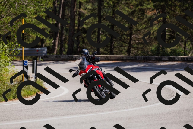 202509061401-_04A6627_c3