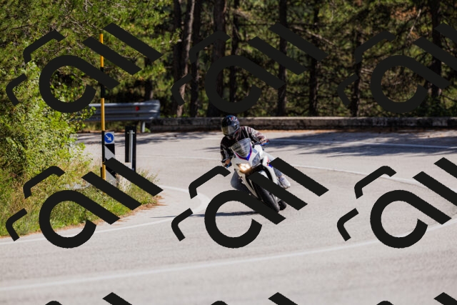 202509061401-_04A6635_c3