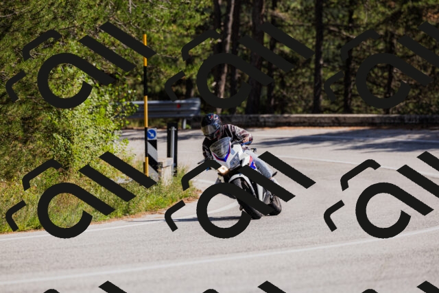 202509061401-_04A6636_c3