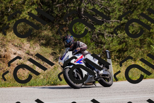 202509061401-_04A6638_c3