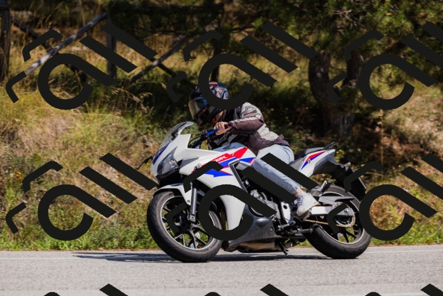 202509061401-_04A6639_c3