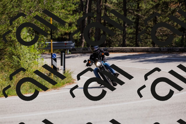 202509061401-_04A6640_c3