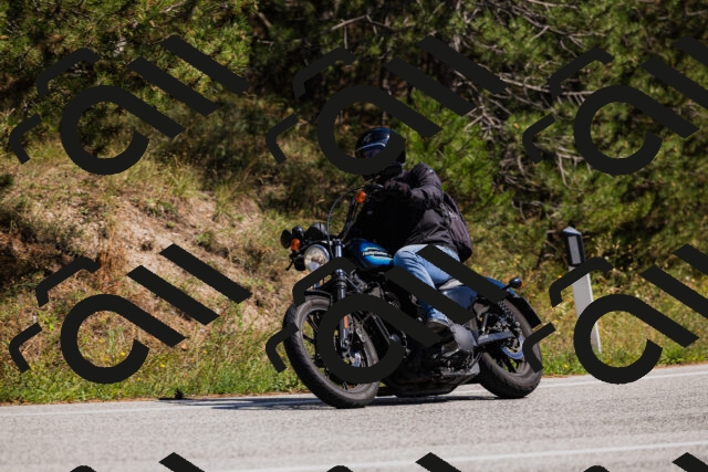 202509061401-_04A6643_c3