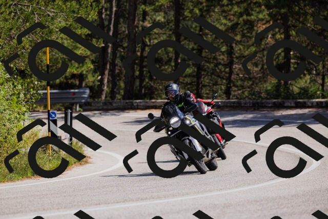 202509061401-_04A6646_c3