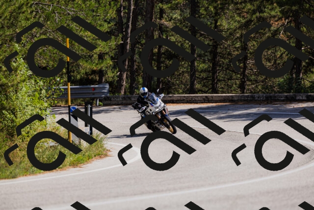 202509061401-_04A6651_c3