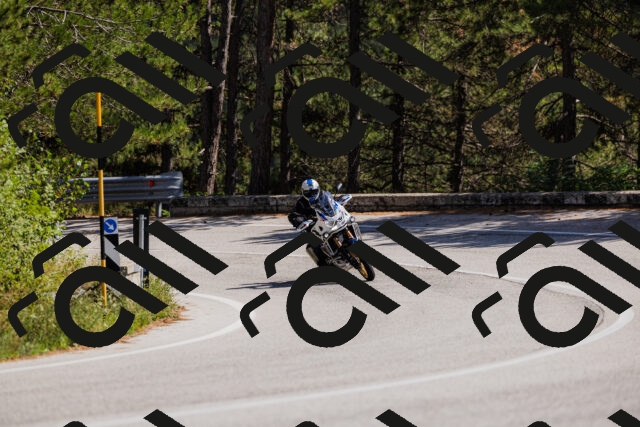 202509061401-_04A6652_c3