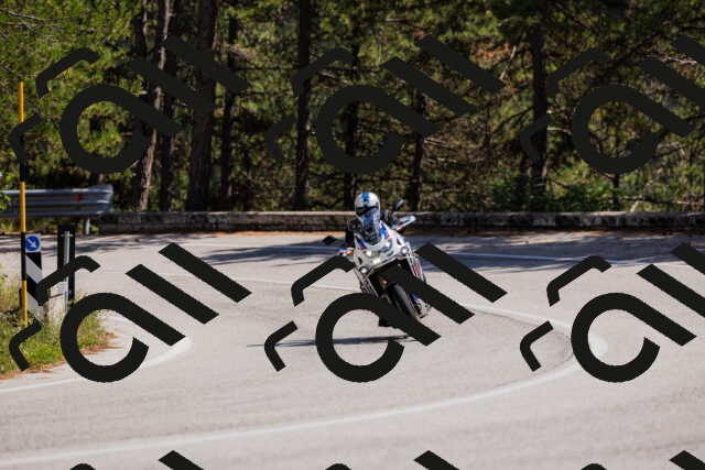 202509061401-_04A6654_c3