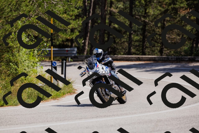 202509061401-_04A6656_c3