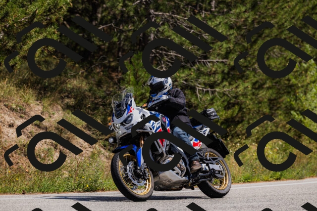 202509061401-_04A6658_c3