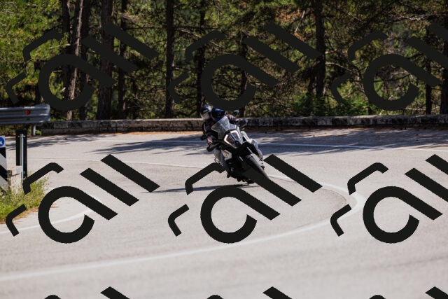 202509061402-_04A6662_c3