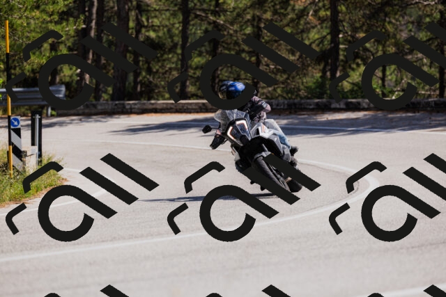 202509061402-_04A6663_c3