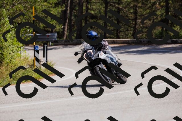 202509061402-_04A6664_c3