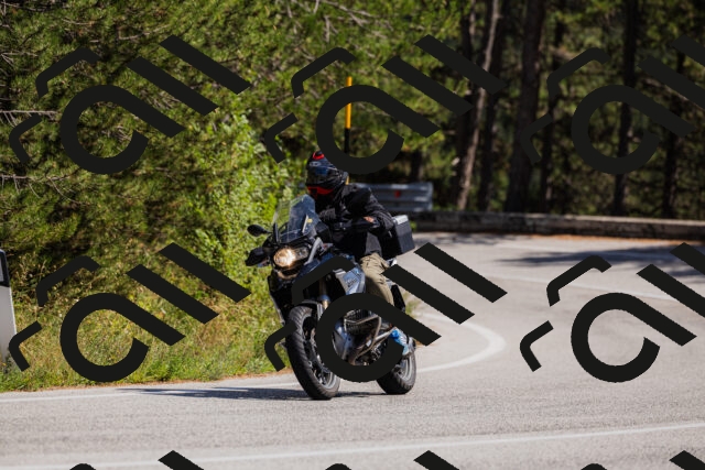 202509061403-_04A6669_c3