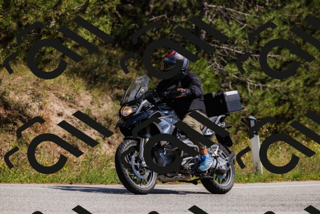 202509061403-_04A6670_c3