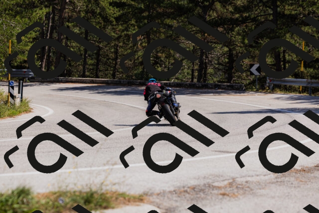 202509061404-_04A6681_c3