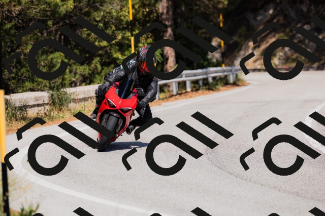 202509061404-_04A6682_c3