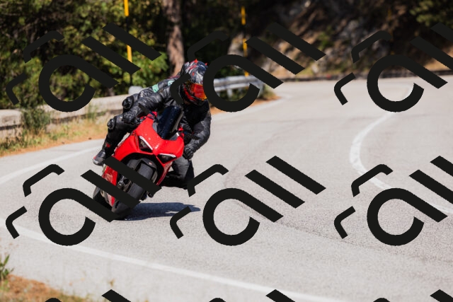 202509061404-_04A6683_c3