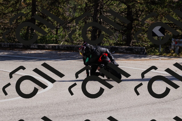 202509061404-_04A6692_c3