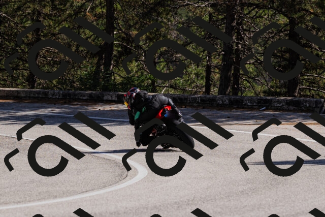 202509061404-_04A6693_c3