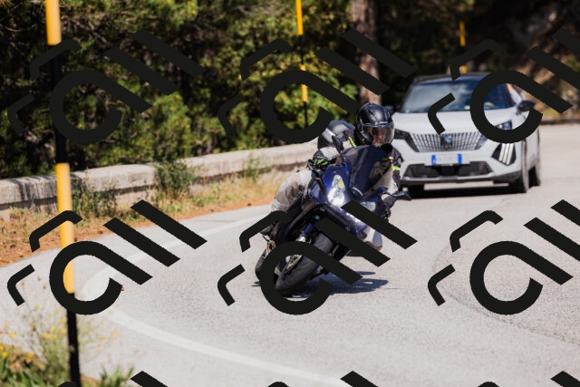 202509061405-_04A6701_c3