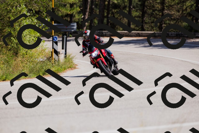 202509061405-_04A6720_c3