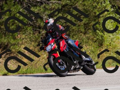 202509061405-_04A6722_c3