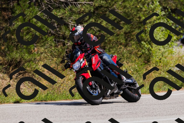 202509061405-_04A6722_c3