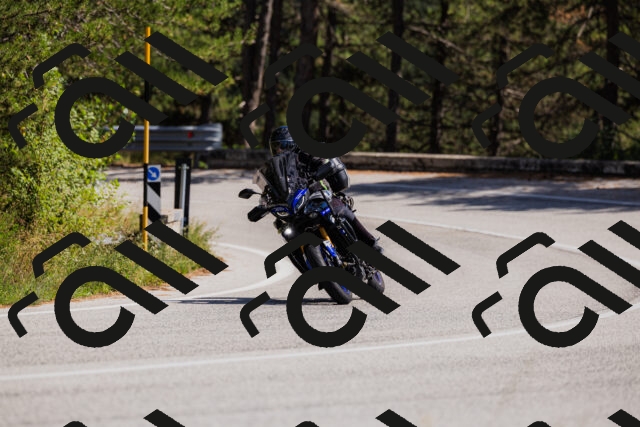 202509061405-_04A6724_c3