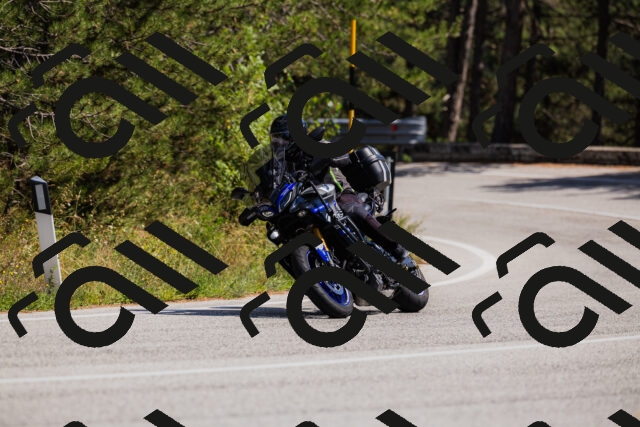 202509061405-_04A6725_c3