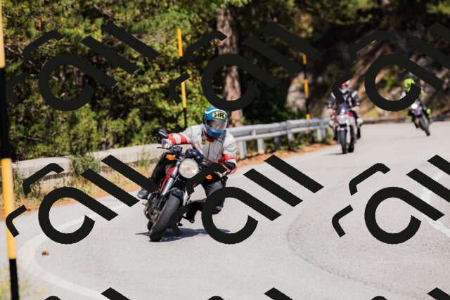 202509061406-_04A6727_c3